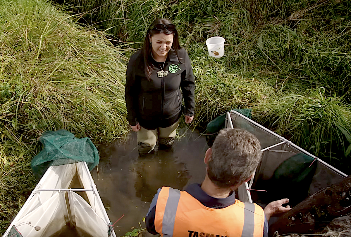 Fostering kaitiakitanga in our waterways