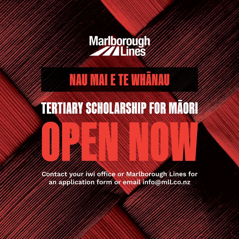 Applications open for Marlborough Lines Tertiary Scholarship