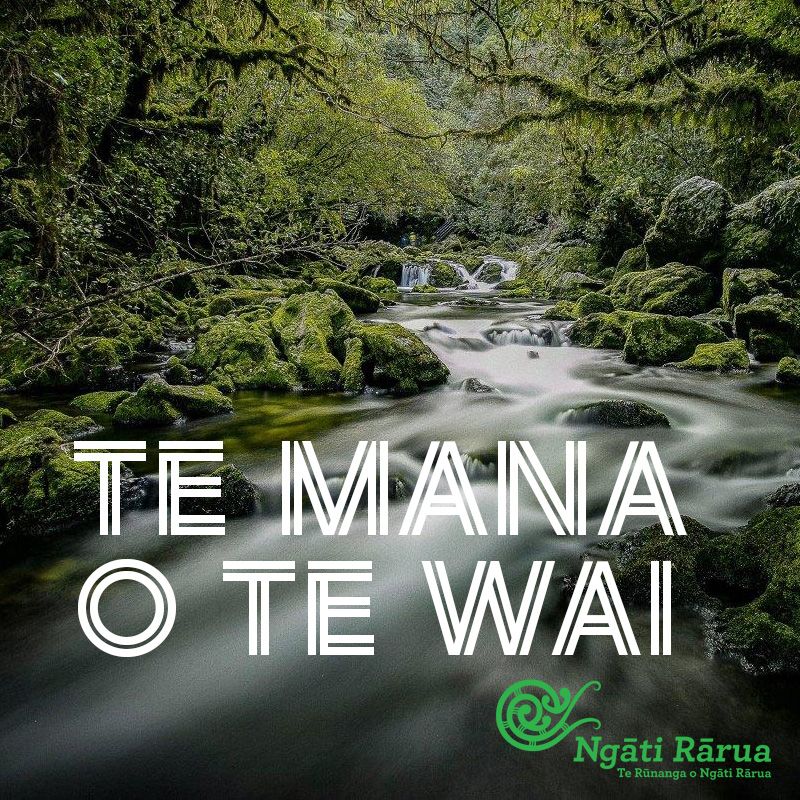 Wānanga Invitation: Ngāti Rārua Te Mana o Te Wai
