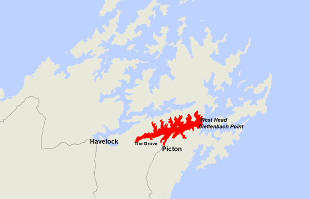 Shellfish alert: Marlborough Sounds