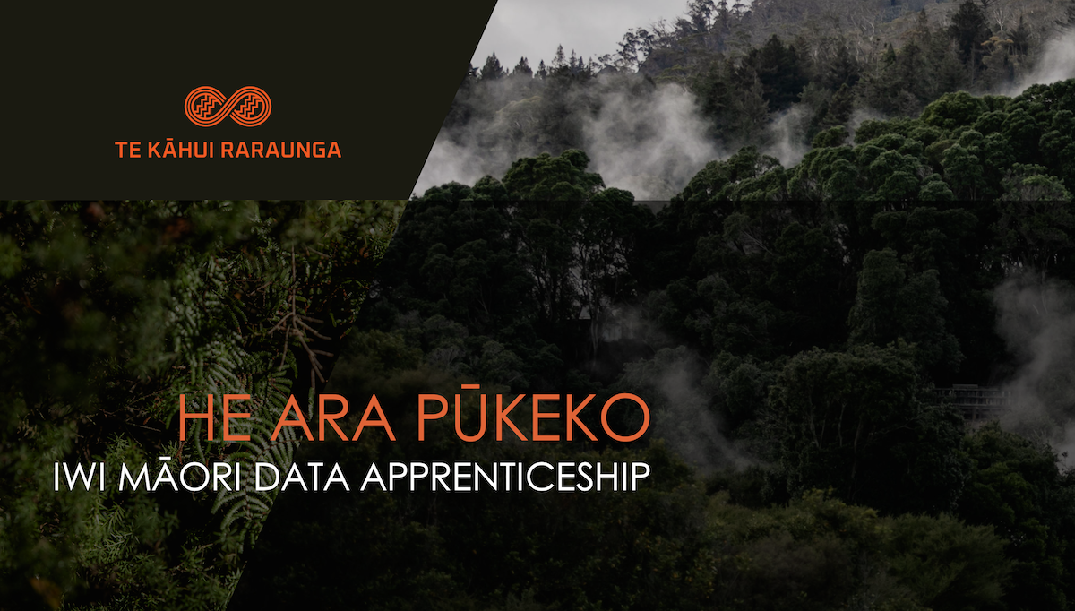He Ara Pūkeko: Iwi Māori Data Apprenticeships