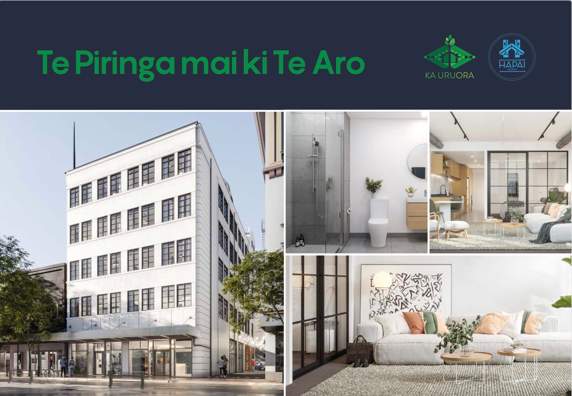1 bedroom apartments in Wellington CBD