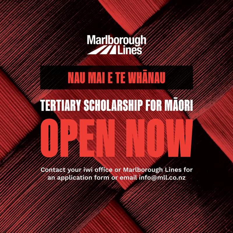 Red harakeke image saying scholarship applications now open