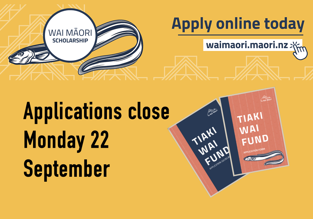 Wai Māori Scholarship