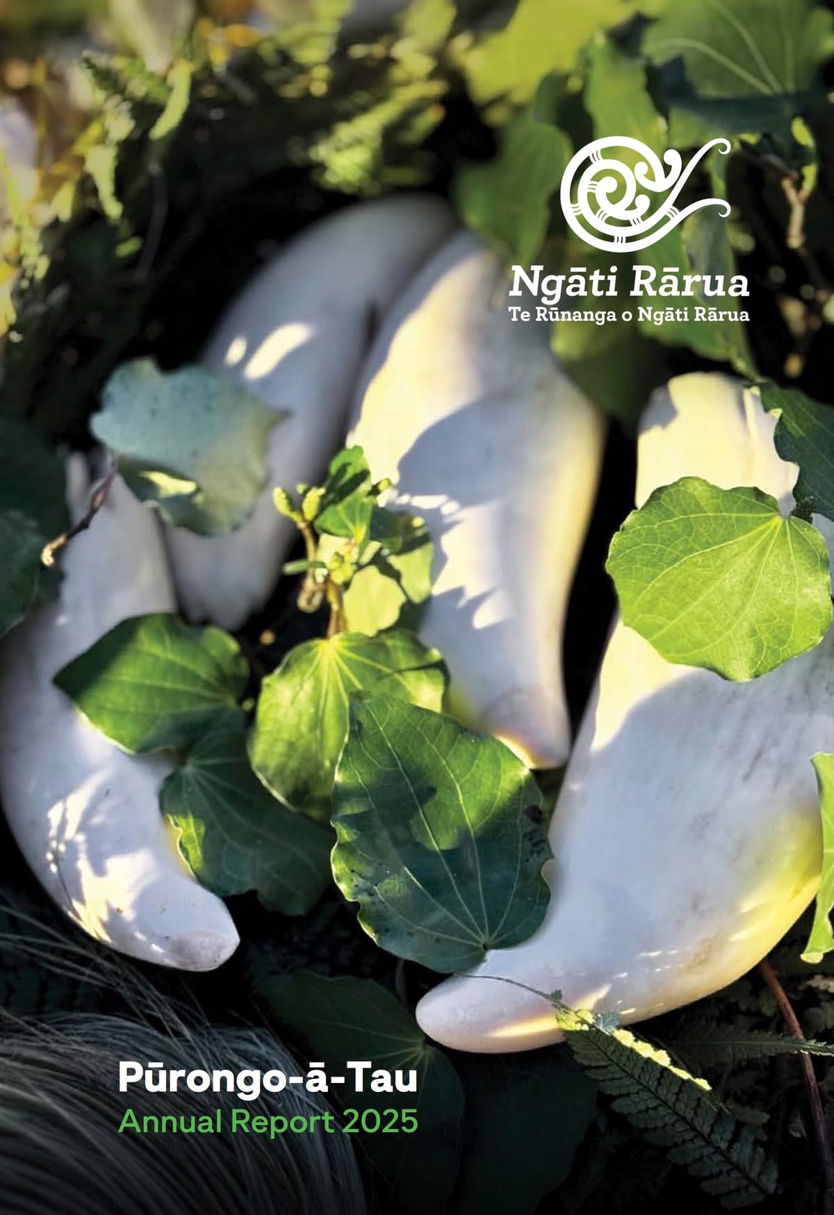 Pūrongo-ā-Tau : Annual report