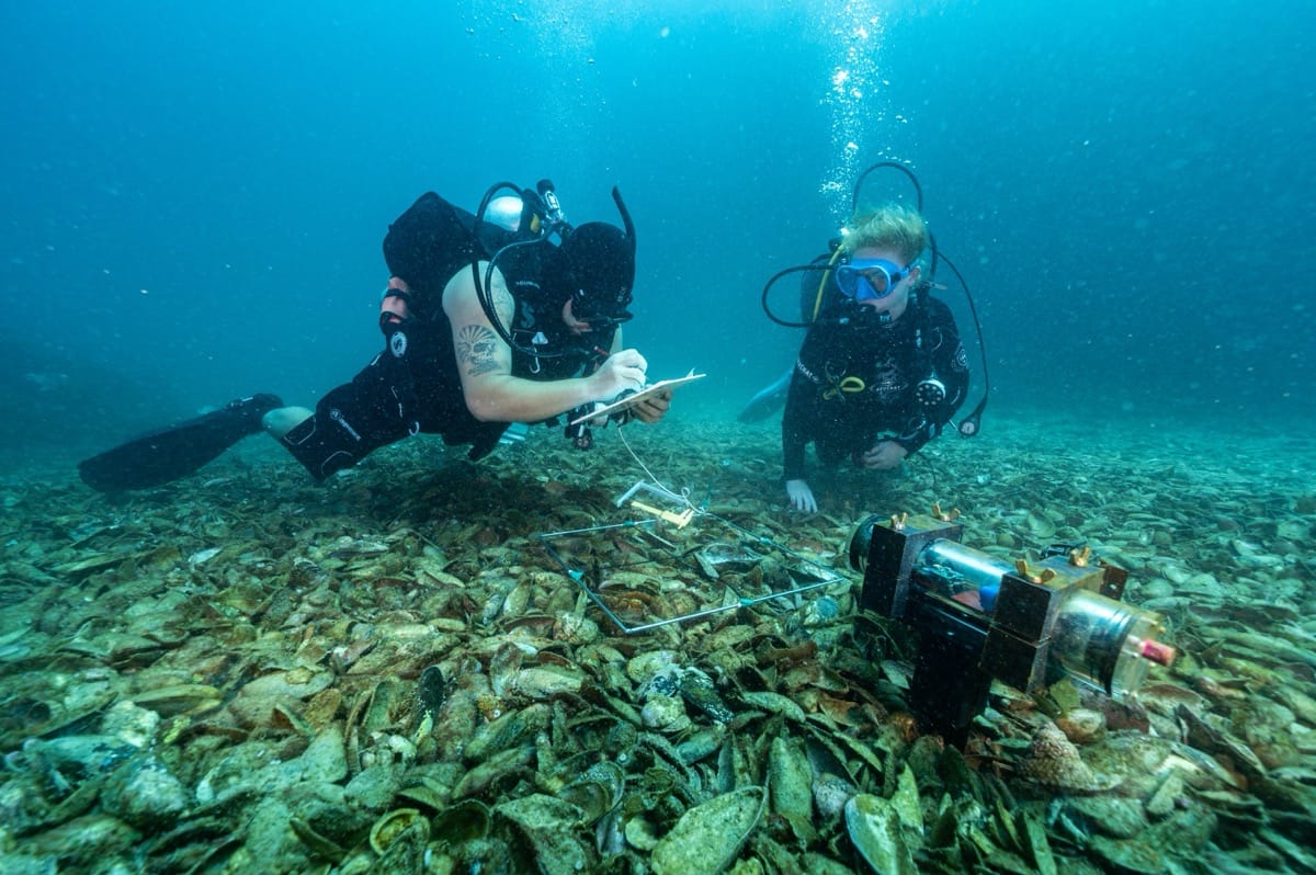 Whakawhiti kōrero mō te moana: Coastal conversations