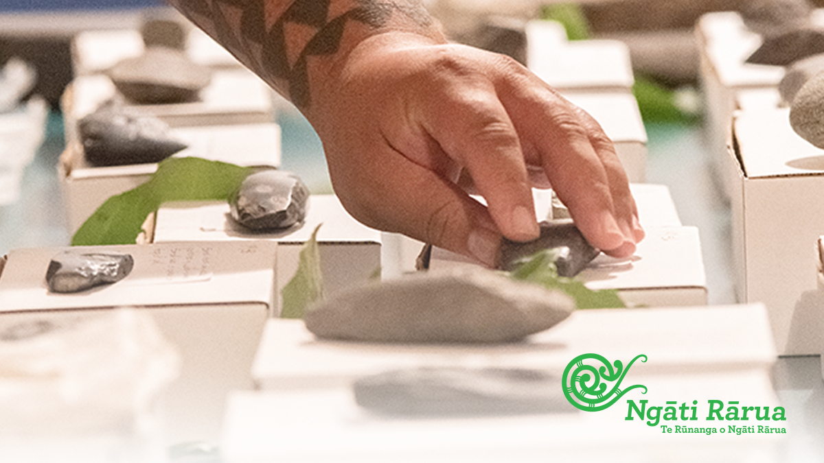 Opportunities - jobs, training, scholarships, representation