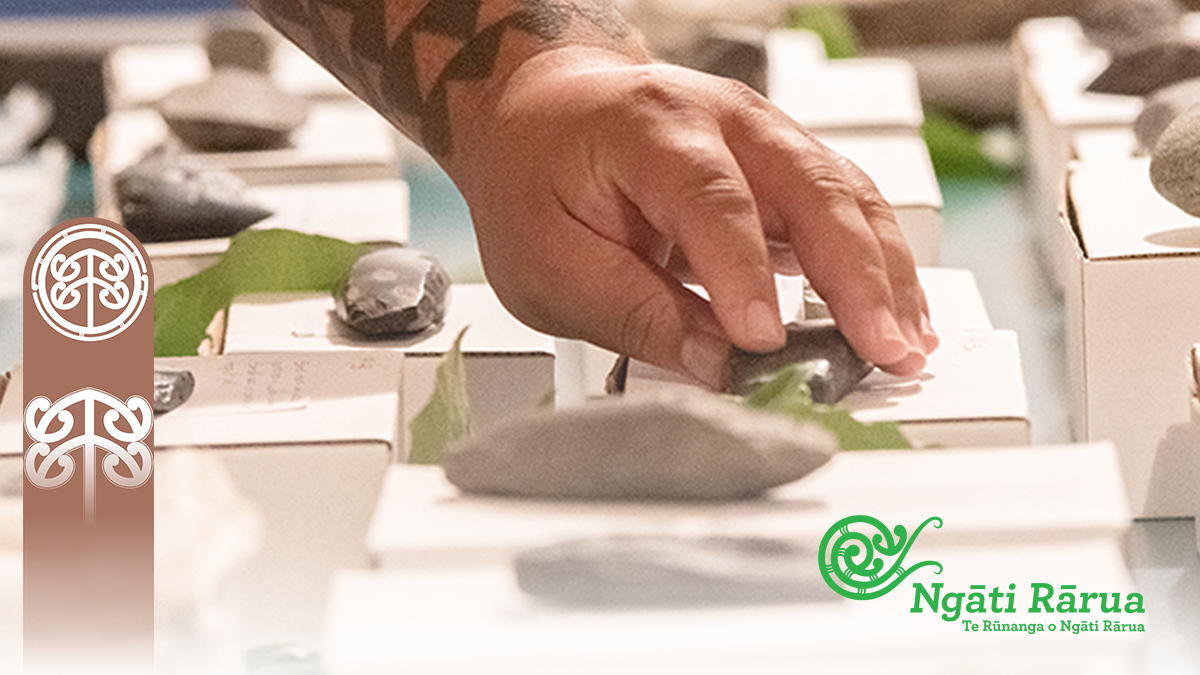 Opportunities - jobs, training, scholarships, representation