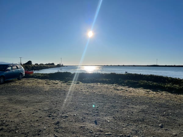 Rāhui placed at Wairau Bar