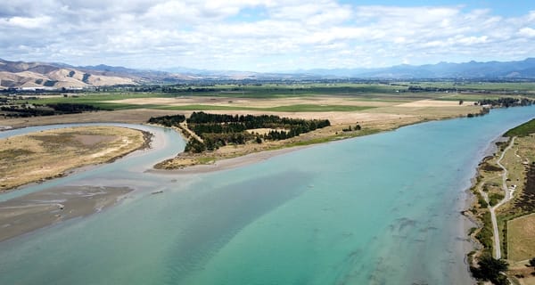 Te Pitau Whakarei Karahipi: Help make an environmental avatar