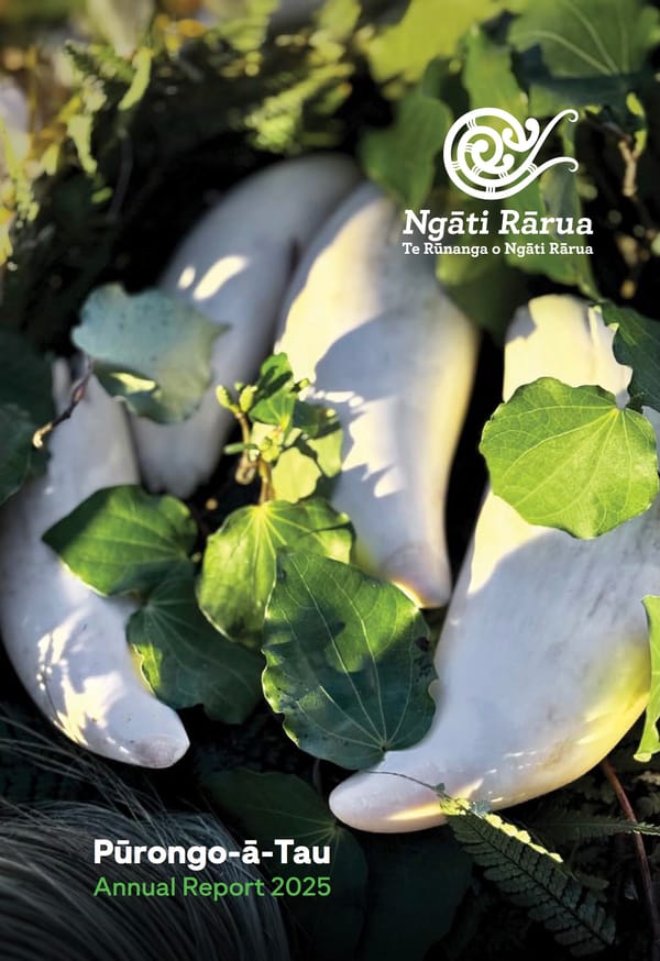 Pūrongo-ā-Tau : Annual report