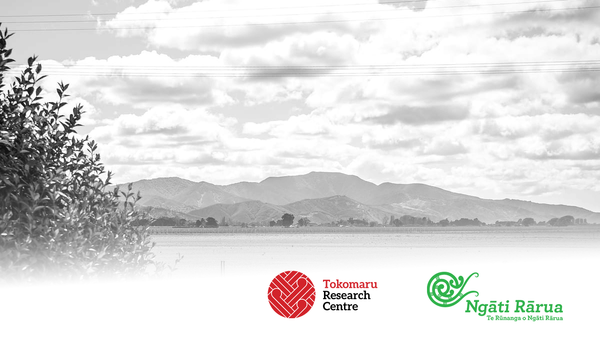 Researcher pool survey